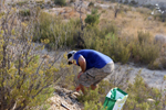 Espartal de Pinares. Jijona. Alicante