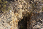 Espartal de Pinares. Jijona. Alicante