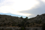 Espartal de Pinares. Jijona. Alicante