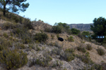 Espartal de Pinares. Jijona. Alicante