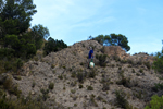 Espartal de Pinares. Jijona. Alicante