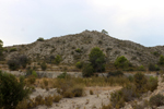 Espartal de Pinares. Jijona. Alicante