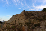 Espartal de Pinares. Jijona. Alicante