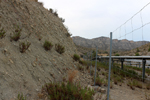 Espartal de Pinares. Jijona. Alicante
