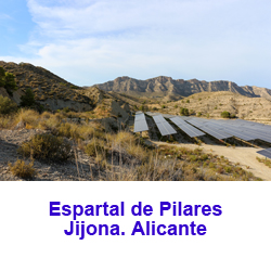 Espartal de Pinares. Jijona. Alicante 