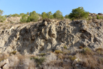 Cantera la Escotera. Benejuzar. Alicante