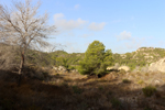 Cantera la Escotera. Benejuzar. Alicante