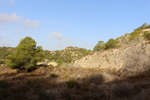 Cantera la Escotera. Benejuzar. Alicante