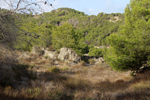 Cantera la Escotera. Benejuzar. Alicante