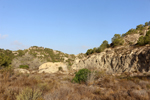 Cantera la Escotera. Benejuzar. Alicante