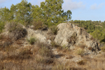 Cantera la Escotera. Benejuzar. Alicante