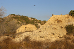 Cantera la Escotera. Benejuzar. Alicante