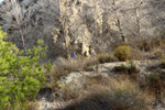 Cantera la Escotera. Benejuzar. Alicante