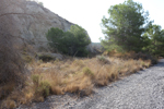 Cantera la Escotera. Benejuzar. Alicante