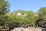 Cantera la Escotera. Benejuzar. Alicante