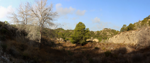 Cantera la Escotera. Benejuzar. Alicante