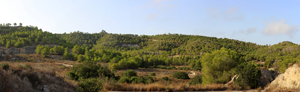 Cantera la Escotera. Benejuzar. Alicante