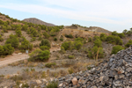 Cantera Alabastre. La Alcoraia.  Alicante