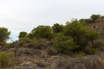 Cantera Alabastre. La Alcoraia.  Alicante