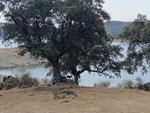 Embalse de Valdecañas. Belvis de Monroy. Cáceres