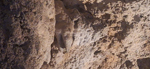 Mina Cueva Victoria. Cartagena. Murcia