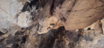 Mina Cueva Victoria. Cartagena. Murcia