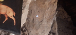 Mina Cueva Victoria. Cartagena. Murcia