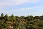 Gravera del Barquero- Enguera. Valencia