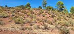 La Escarabehuela. Enguidanos y el Retamal. La Pesquera. Cuenca