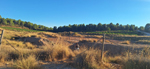 Salinas de Jaraguas. (Mina Lolita)..Venta del Moro. Valencia
