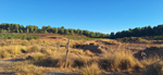 Salinas de Jaraguas. (Mina Lolita)..Venta del Moro. Valencia