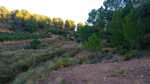 Salinas de Jaraguas. (Mina Lolita)..Venta del Moro. Valencia