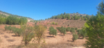 Yacimiento de Aragonito. Casas de Ves. Albacete