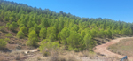 Yacimiento de Aragonito. Casas de Ves. Albacete
