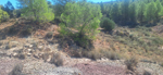Yacimiento de Aragonito. Casas de Ves. Albacete