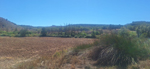 Yacimiento de Aragonito. Casas de Ves. Albacete
