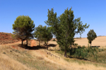 Pozo Airon. La Almarcha. Cuenca