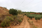 Minglanilla. Cuenca