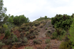 Minglanilla. Cuenca