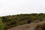 Minglanilla. Cuenca