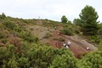Minglanilla. Cuenca
