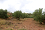 Minglanilla. Cuenca