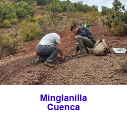 Minglanilla. Cuenca