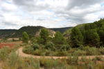 Barrancp de la Escarabehuela. Enguidanos. Cuenca