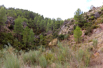 Barrancp de la Escarabehuela. Enguidanos. Cuenca