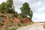 Barrancp de la Escarabehuela. Enguidanos. Cuenca