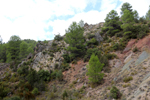 Barrancp de la Escarabehuela. Enguidanos. Cuenca