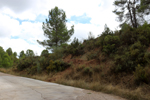 Barrancp de la Escarabehuela. Enguidanos. Cuenca