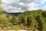 Barrancp de la Escarabehuela. Enguidanos. Cuenca