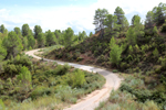 Barrancp de la Escarabehuela. Enguidanos. Cuenca